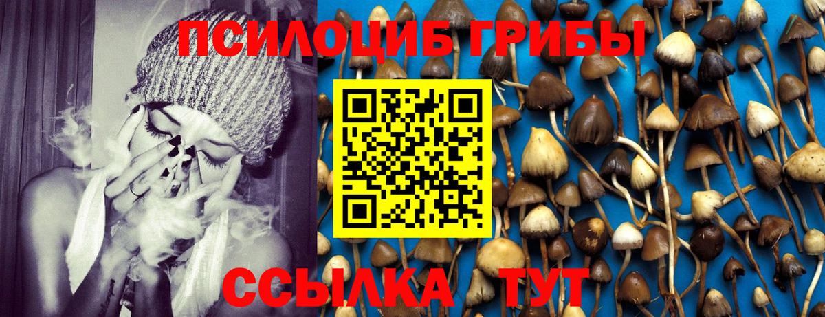 Галлюциногенные грибы Psilocybine cubensis Астрахань